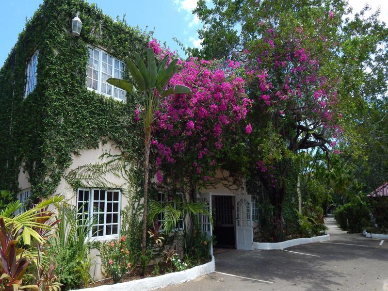 Mangos Jamaica Adults Only Hotell Falmouth Eksteriør bilde